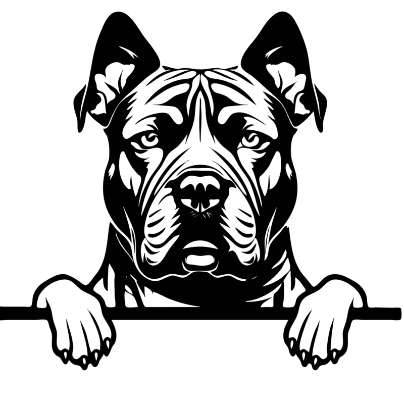 AMERICAN BULLY