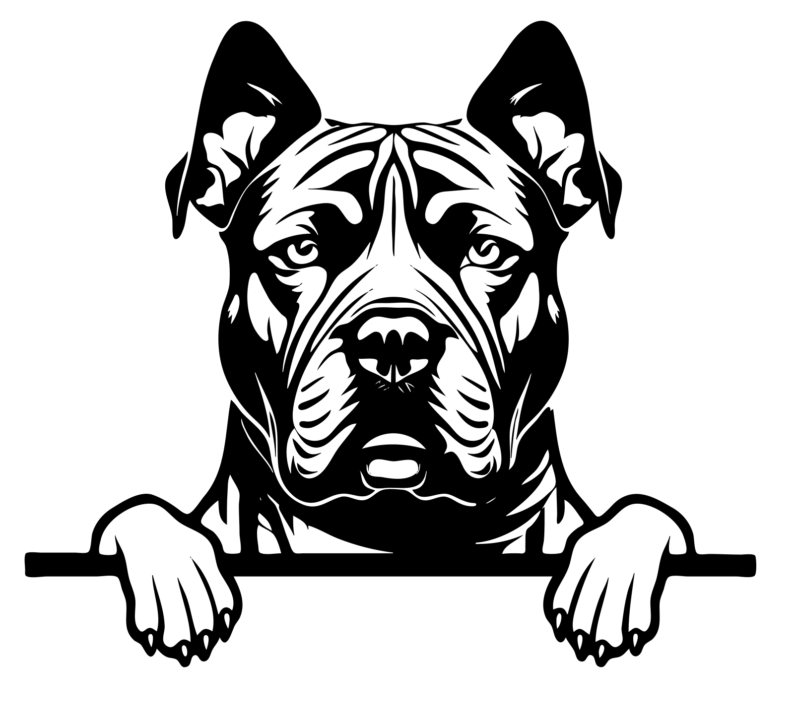 AMERICAN BULLY