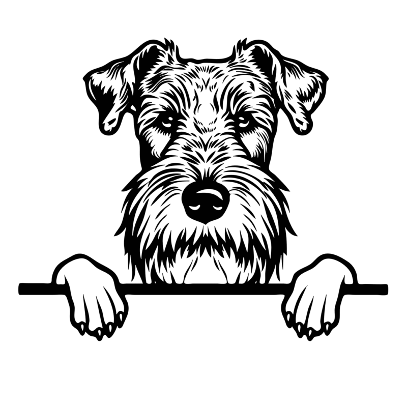 Airedale Terrier