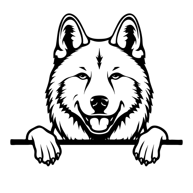 Akita