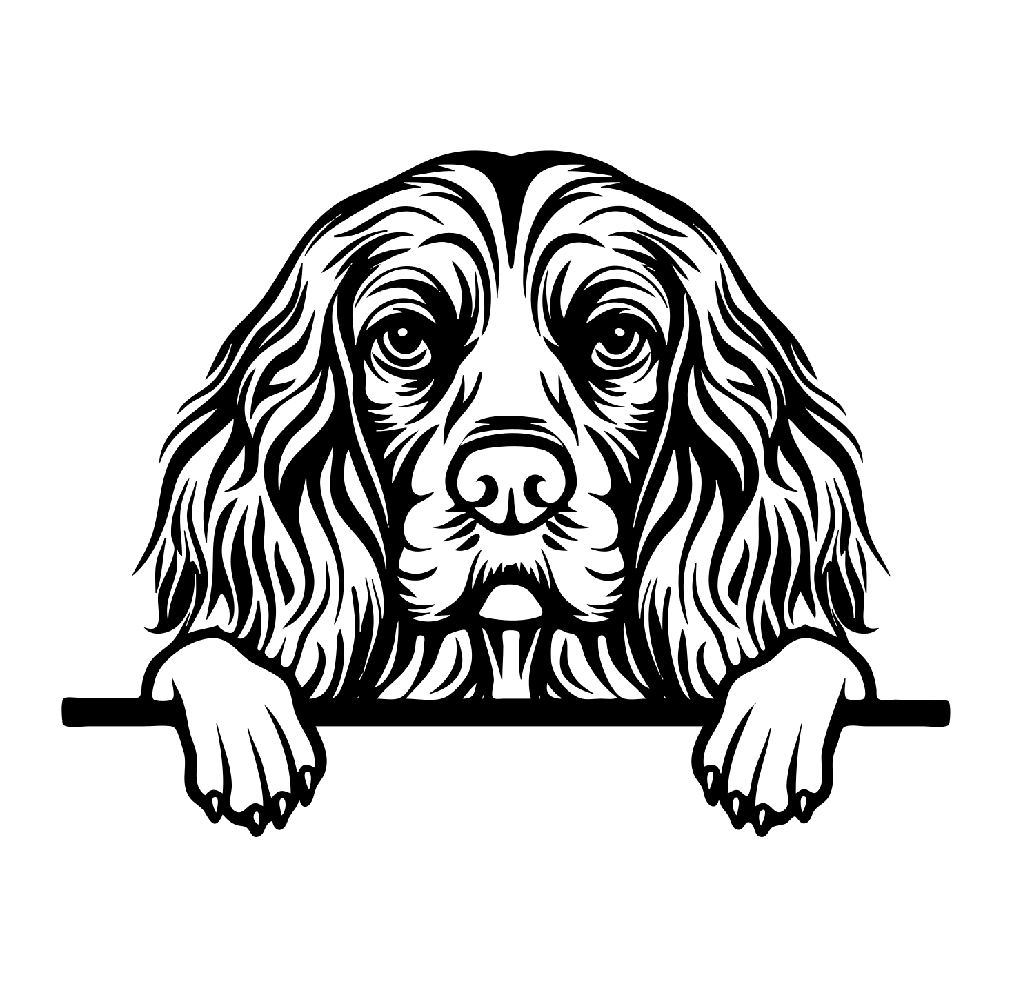 American Cocker Spaniel