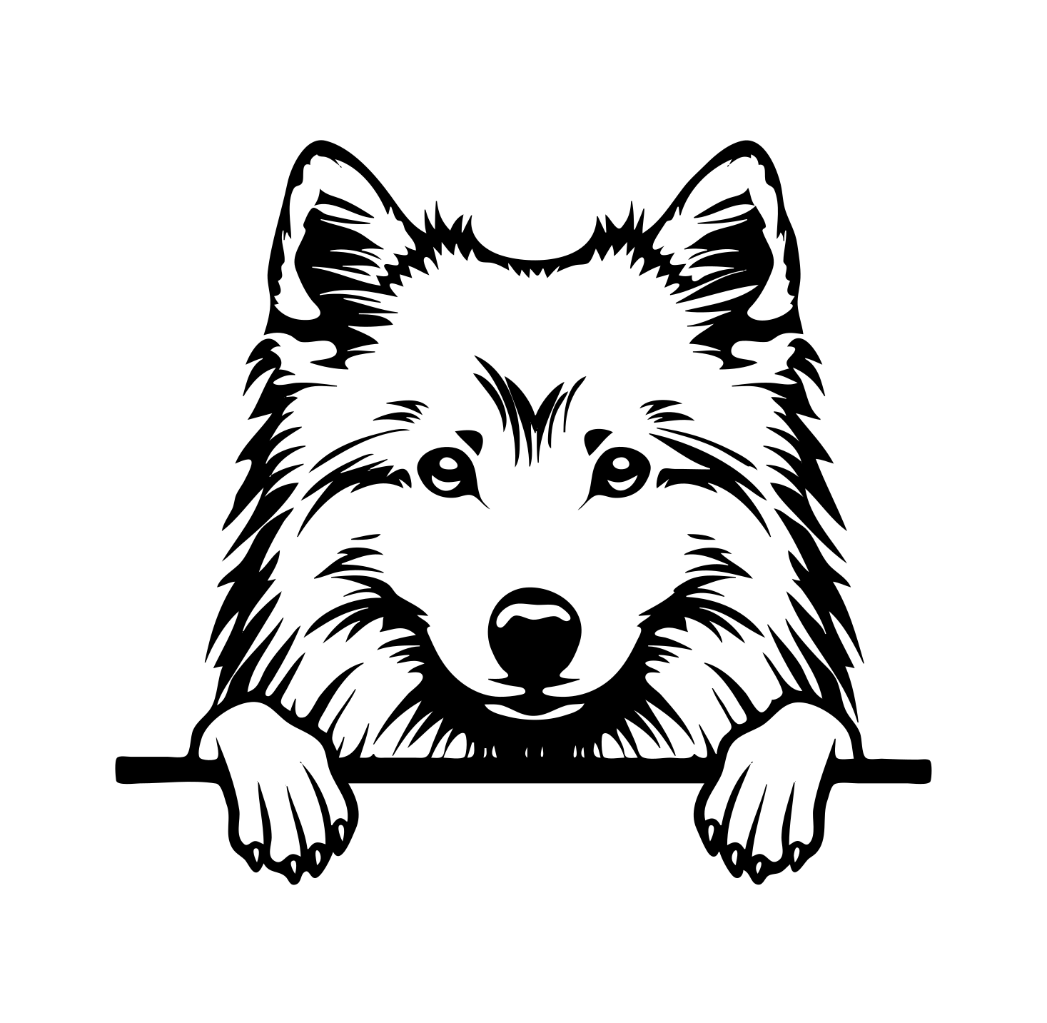 American Eskimo
