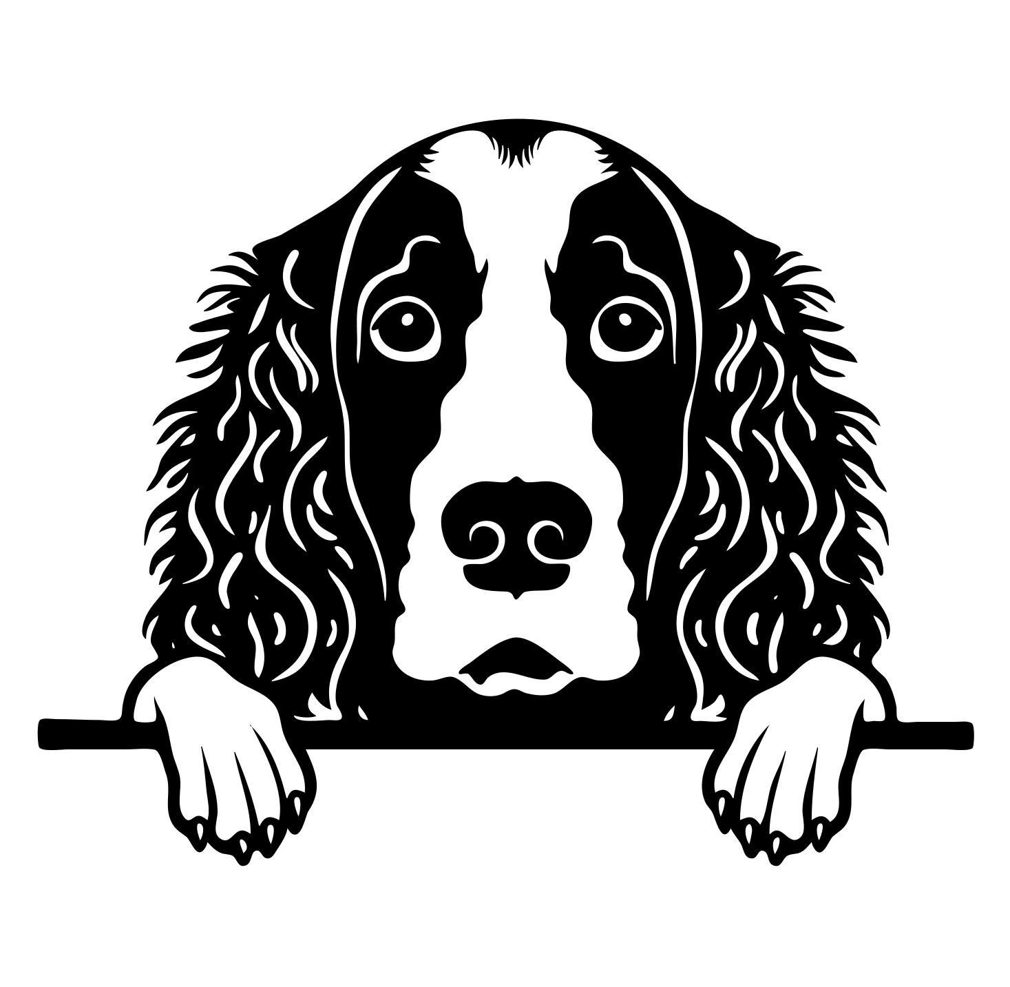 American Water Spaniel