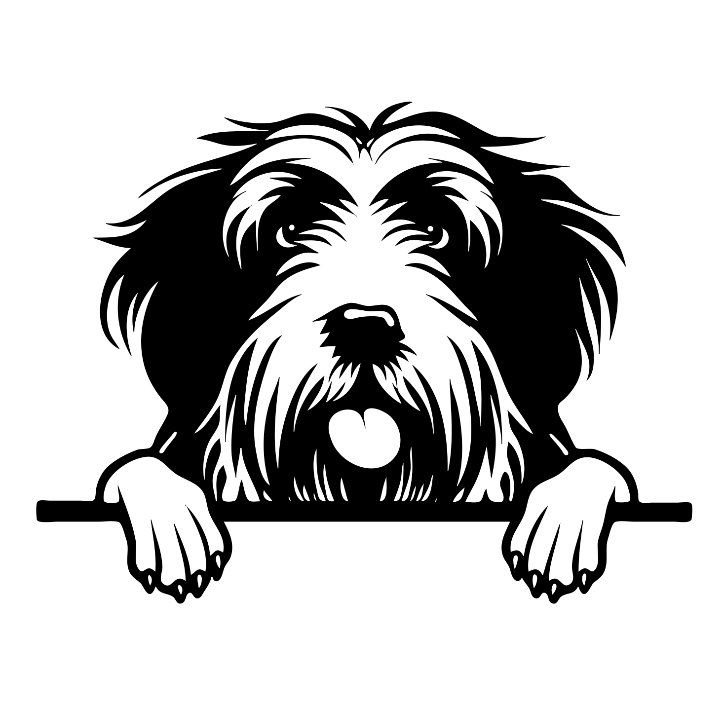 Bearded Collie