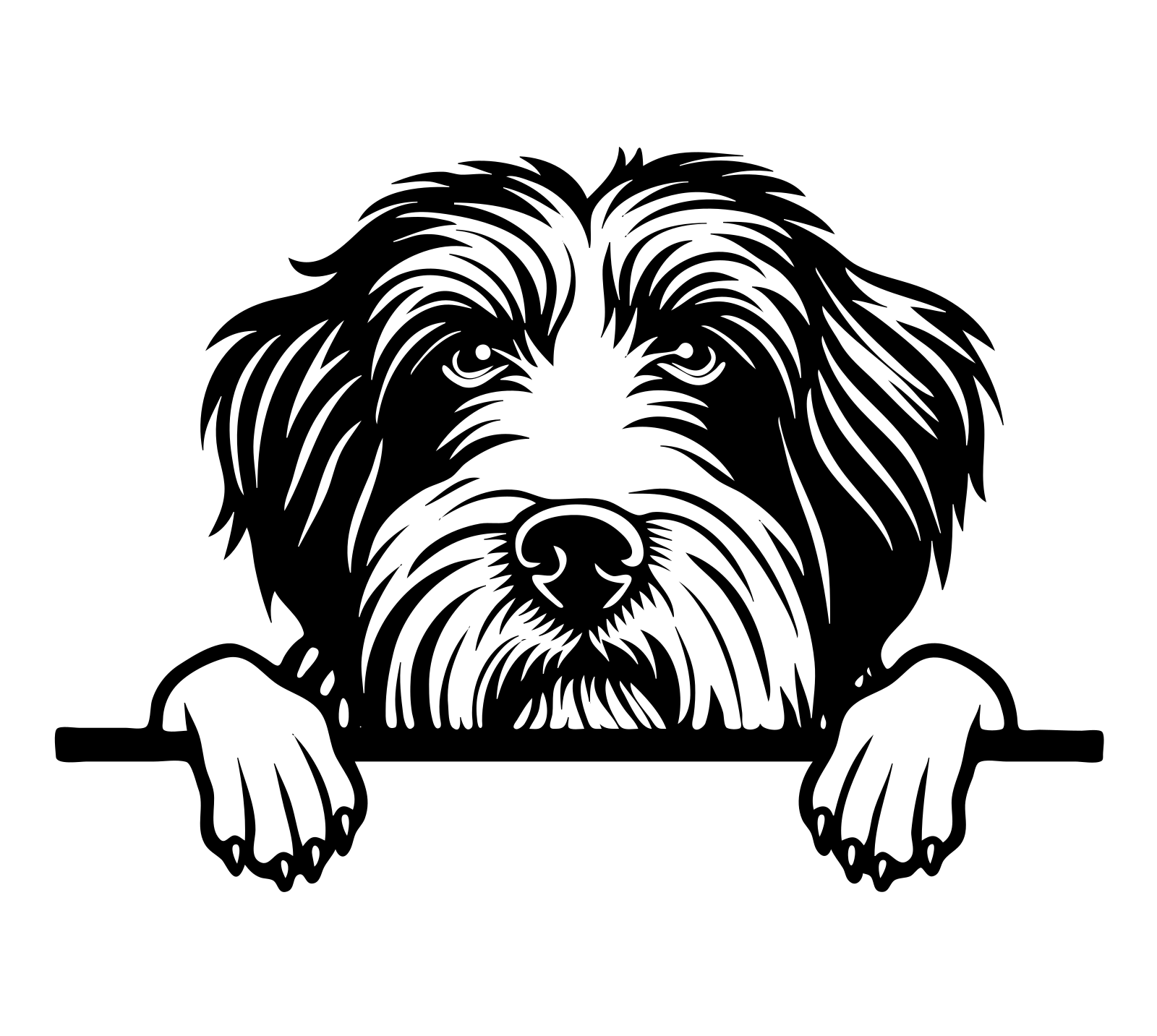 Bearded Collie