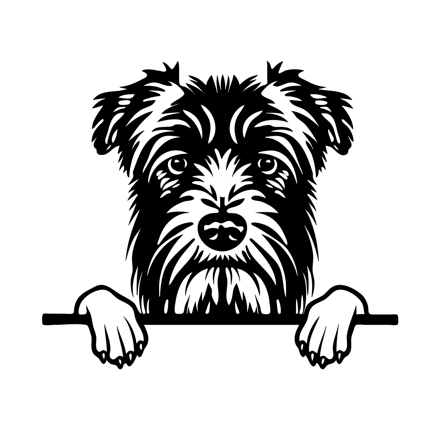 Bouvier des Flandres